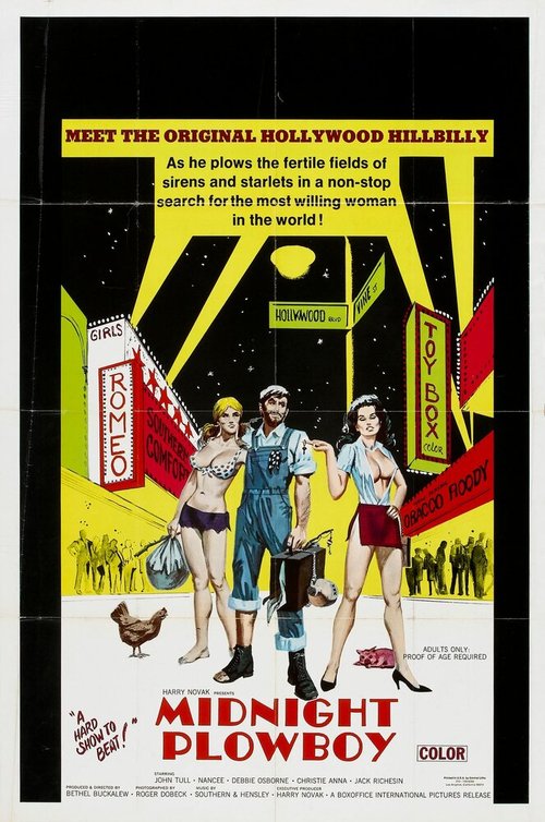 Обложка (Постер) Полуночный пахарь / Midnite Plowboy (1971) SATRip Обложка (Постер) Полуночный пахарь / Midnite Plowboy (1971) SATRip