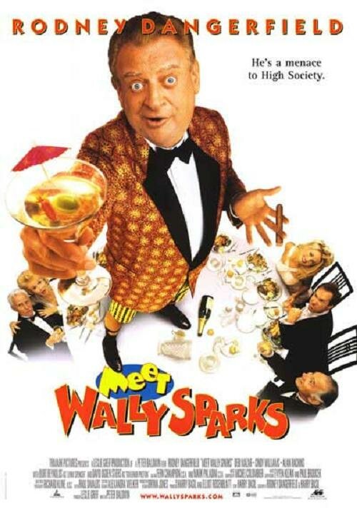 Обложка (Постер) Познакомьтесь с Уолли Спарксом / Meet Wally Sparks (1996) HDRip Обложка (Постер) Познакомьтесь с Уолли Спарксом / Meet Wally Sparks (1996) HDRip