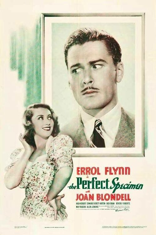 Обложка (Постер) Прекрасный образец / The Perfect Specimen (1937) SATRip