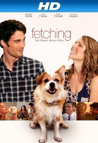Обложка (Постер) Присмотр / Fetching (2013) HDRip Обложка (Постер) Присмотр / Fetching (2013) HDRip