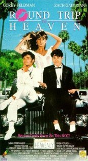 Обложка (Постер) Путешествие в рай / Round Trip to Heaven (1992) HDRip
