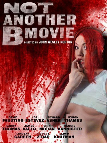 Обложка (Постер) Рабочее название / Not Another B Movie (2010) HDRip