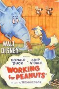 Обложка (Постер) Работа за орехи / Working for Peanuts (1953) 