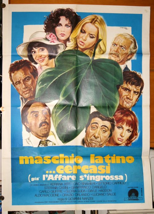 Обложка (Постер) Разыскивается латинский мачо / Maschio latino cercasi (1977) SATRip Обложка (Постер) Разыскивается латинский мачо / Maschio latino cercasi (1977) SATRip