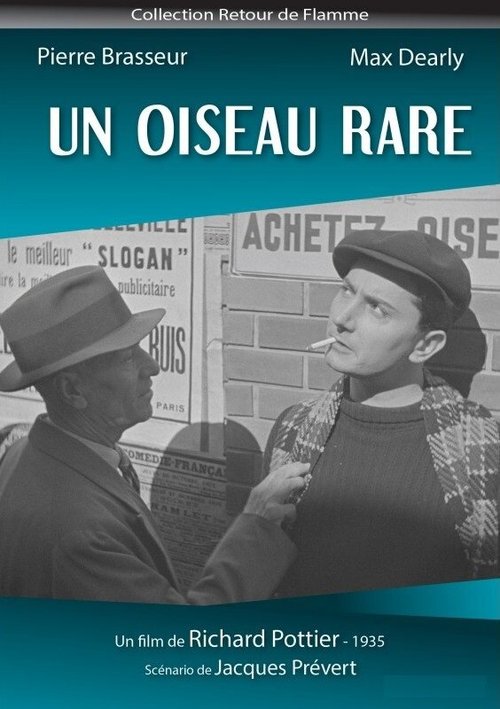 Обложка (Постер) Редкая пташка / Un oiseau rare (1935) SATRip Обложка (Постер) Редкая пташка / Un oiseau rare (1935) SATRip