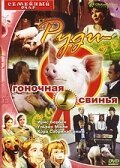 Обложка (Постер) Руди — гоночная свинья / Rennschwein Rudi Rüssel (1995) HDRip Обложка (Постер) Руди — гоночная свинья / Rennschwein Rudi Rüssel (1995) HDRip