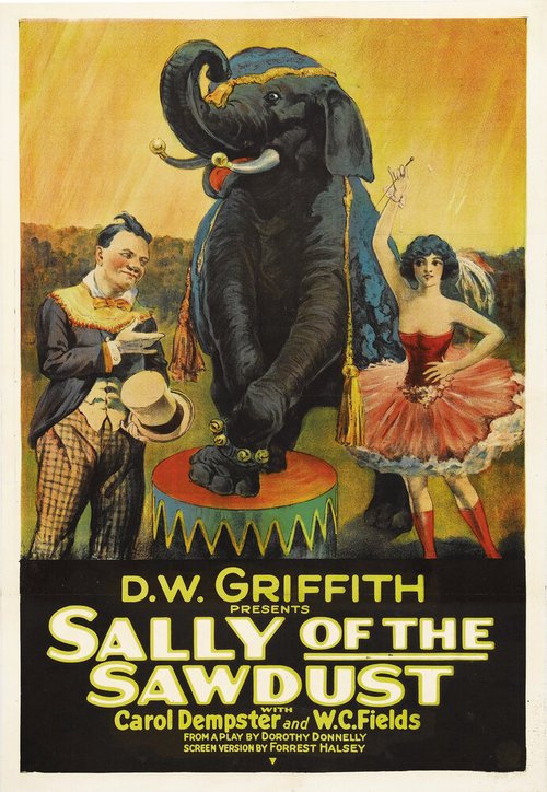 Обложка (Постер) Салли из опилок / Sally of the Sawdust (1925) SATRip Обложка (Постер) Салли из опилок / Sally of the Sawdust (1925) SATRip