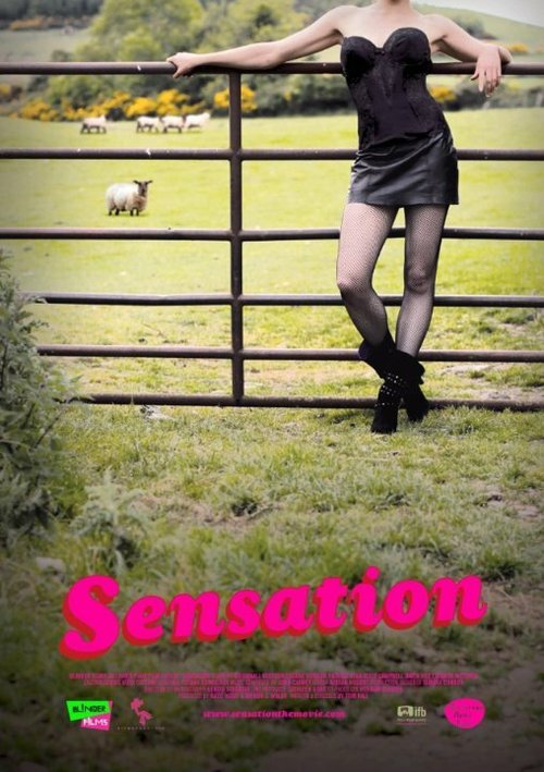 Обложка (Постер) Сенсация / Sensation (2010) HDRip Обложка (Постер) Сенсация / Sensation (2010) HDRip