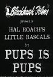 Обложка (Постер) Щенки есть щенки / Pups Is Pups (1930) SATRip Обложка (Постер) Щенки есть щенки / Pups Is Pups (1930) SATRip