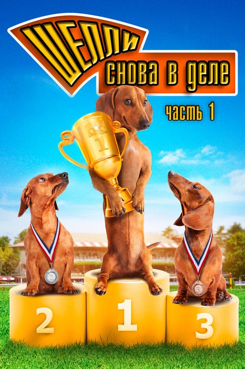 Обложка (Постер) Шелли снова в деле: Часть 1 / Wiener Dog Nationals (2013) HDRip Обложка (Постер) Шелли снова в деле: Часть 1 / Wiener Dog Nationals (2013) HDRip