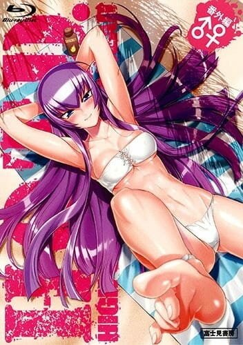 Обложка (Постер) Школа мертвецов OVA / Highschool of the Dead: Drifters of the Dead (2011) Обложка (Постер) Школа мертвецов OVA / Highschool of the Dead: Drifters of the Dead (2011)