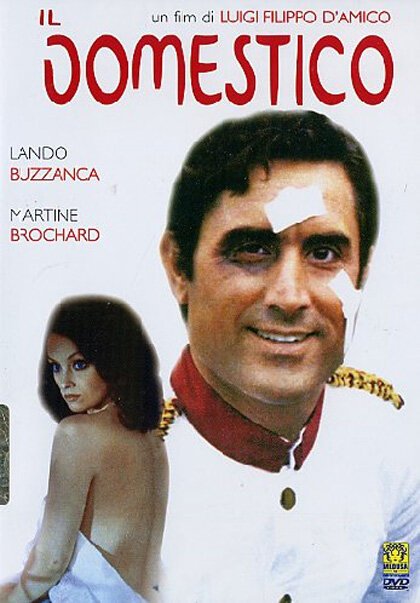 Обложка (Постер) Слуга / Il domestico (1974) SATRip Обложка (Постер) Слуга / Il domestico (1974) SATRip