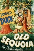 Обложка (Постер) Старая секвойя / Old Sequoia (1945) Обложка (Постер) Старая секвойя / Old Sequoia (1945)