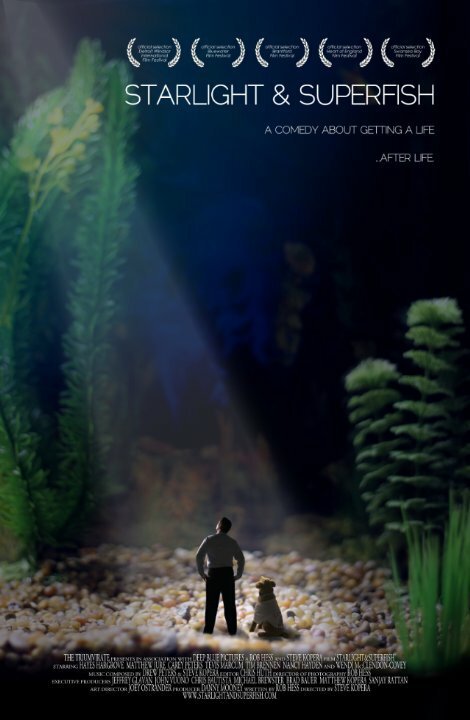 Обложка (Постер) Starlight & Superfish (2010) HDRip Обложка (Постер) Starlight & Superfish (2010) HDRip