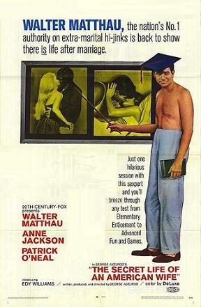 Обложка (Постер) Тайная жизнь американской жены / The Secret Life of an American Wife (1968) SATRip Обложка (Постер) Тайная жизнь американской жены / The Secret Life of an American Wife (1968) SATRip