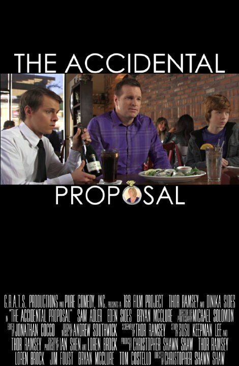 Обложка (Постер) The Accidental Proposal (2013) Обложка (Постер) The Accidental Proposal (2013)