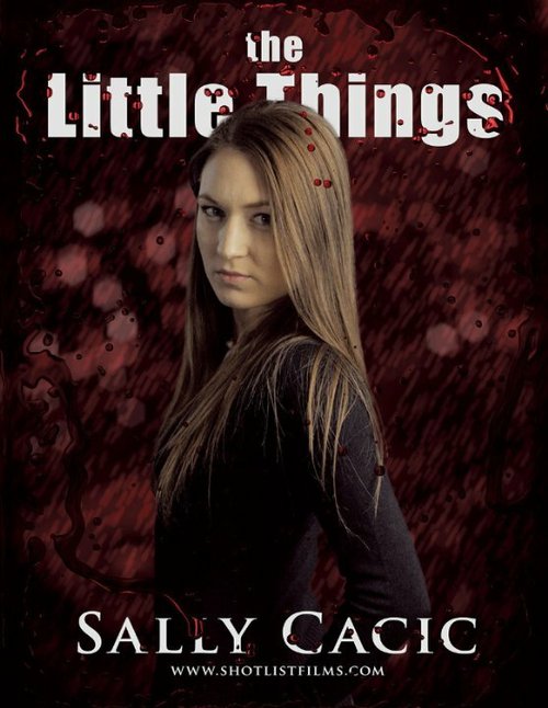 Обложка (Постер) The Little Things (2015) Обложка (Постер) The Little Things (2015)