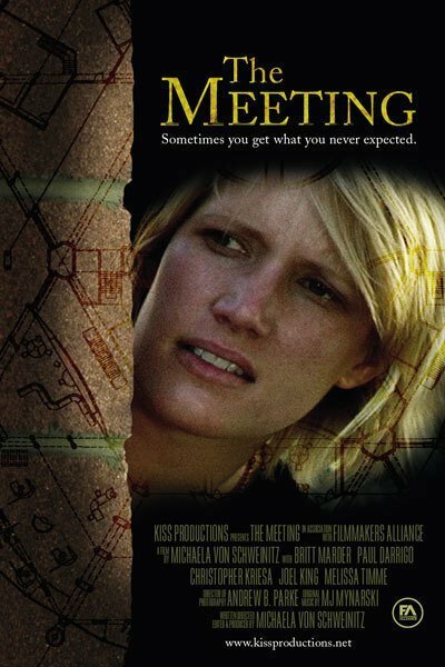 Обложка (Постер) The Meeting (2005) 
