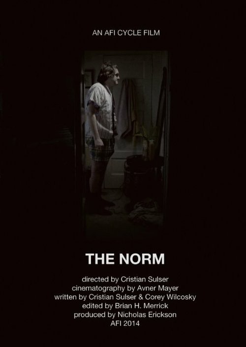 Обложка (Постер) The Norm (2014) Обложка (Постер) The Norm (2014)