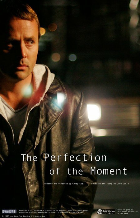 Обложка (Постер) The Perfection of the Moment (2006) 