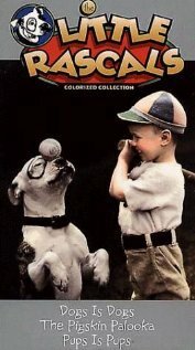 Обложка (Постер) The Pigskin Palooka (1937) Обложка (Постер) The Pigskin Palooka (1937)