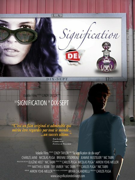 Обложка (Постер) The S1gnificance of Se7enteen (2002) HDRip