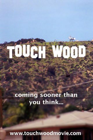 Обложка (Постер) Touch Wood (2010) 