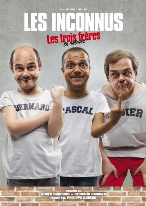 Обложка (Постер) Три брата, возвращение / Les trois frères, le retour (2014) HDRip Обложка (Постер) Три брата, возвращение / Les trois frères, le retour (2014) HDRip