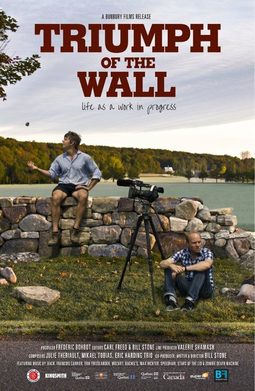 Обложка (Постер) Triumph of the Wall (2013) HDRip Обложка (Постер) Triumph of the Wall (2013) HDRip