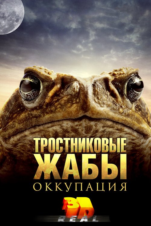Обложка (Постер) Тростниковые жабы: Оккупация / Cane Toads: The Conquest (2010) HDRip Обложка (Постер) Тростниковые жабы: Оккупация / Cane Toads: The Conquest (2010) HDRip