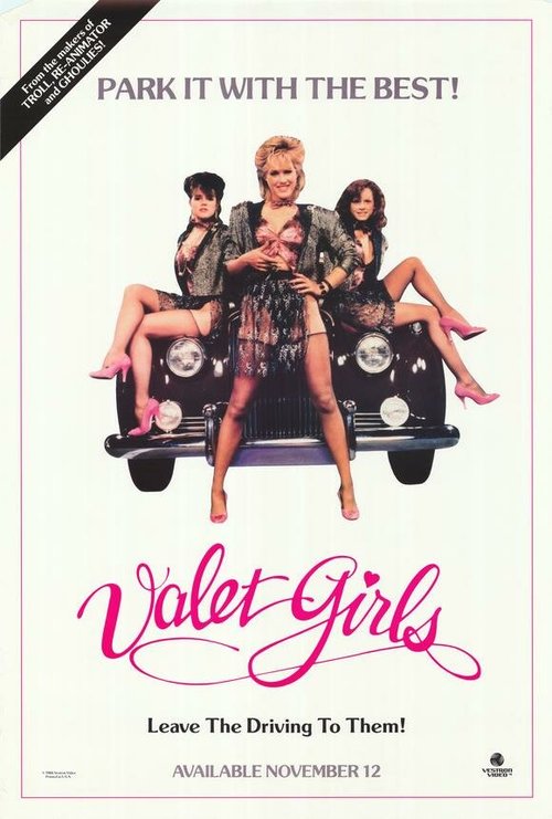 Обложка (Постер) Услужливые девушки / Valet Girls (1986) SATRip Обложка (Постер) Услужливые девушки / Valet Girls (1986) SATRip