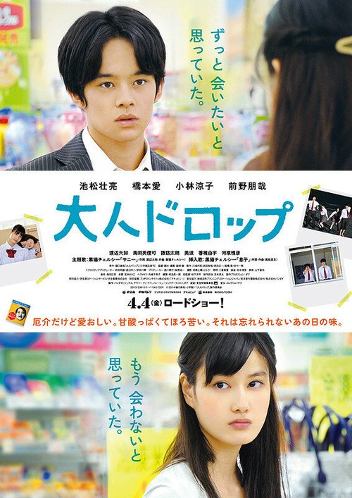 Обложка (Постер) Взрослое падение / Otona doroppu (2014) HDRip