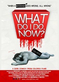 Обложка (Постер) What Do I Do Now? (2009) HDRip