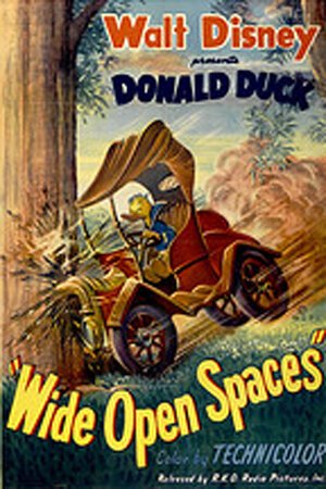 Обложка (Постер) Wide Open Spaces (1947) Обложка (Постер) Wide Open Spaces (1947)