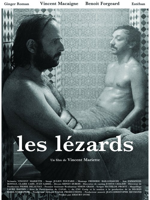 Обложка (Постер) Ящерицы / Les lézards (2013) 