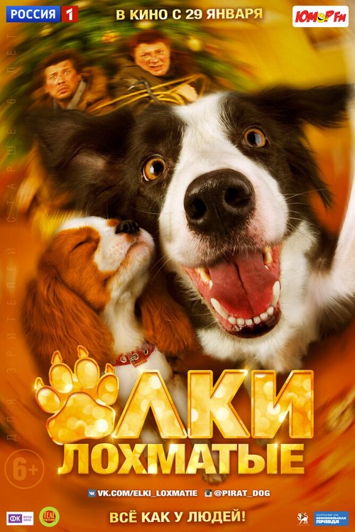 Обложка (Постер) Ёлки лохматые (2014) HDRip Обложка (Постер) Ёлки лохматые (2014) HDRip