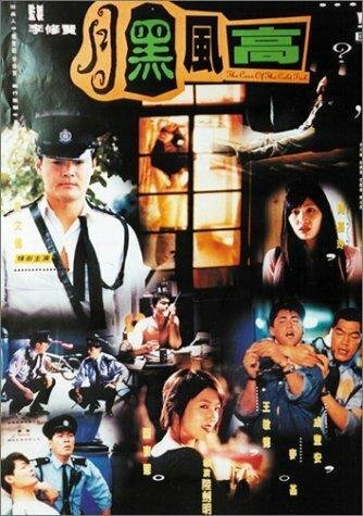 Обложка (Постер) Yue hei feng gao (1995) HDRip Обложка (Постер) Yue hei feng gao (1995) HDRip