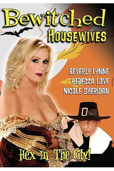 Обложка (Постер) Заколдованные домохозяйки / Bewitched Housewives (2007) HDRip Обложка (Постер) Заколдованные домохозяйки / Bewitched Housewives (2007) HDRip