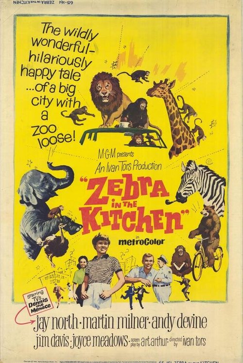 Обложка (Постер) Зебра на кухне / Zebra in the Kitchen (1965) SATRip Обложка (Постер) Зебра на кухне / Zebra in the Kitchen (1965) SATRip