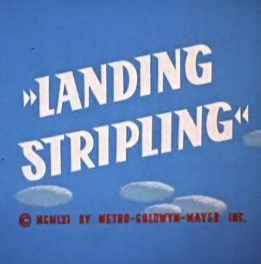 Обложка (Постер) Желаем мягкой посадки / Landing Stripling (1962) Обложка (Постер) Желаем мягкой посадки / Landing Stripling (1962)