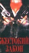 Обложка (Постер) Жестокий закон / Divorce Law (1993) HDRip Обложка (Постер) Жестокий закон / Divorce Law (1993) HDRip
