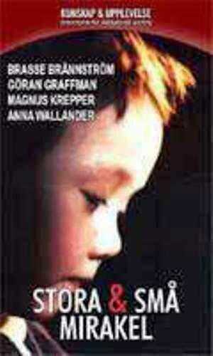 Обложка (Постер) Большие и маленькие чудеса / Stora & små mirakel (1999) HDRip