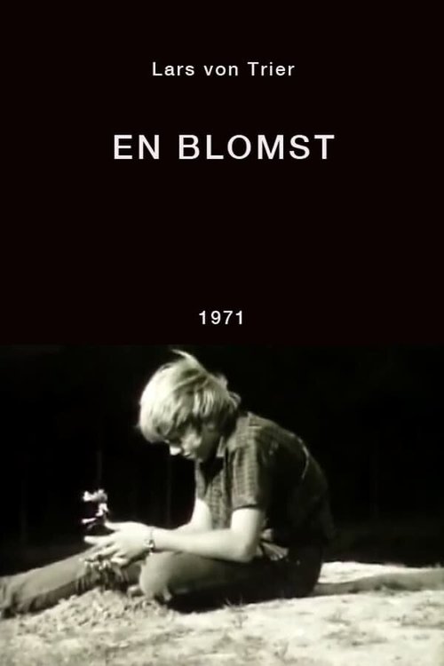 Обложка (Постер) Цветок / En blomst (1971) Обложка (Постер) Цветок / En blomst (1971)