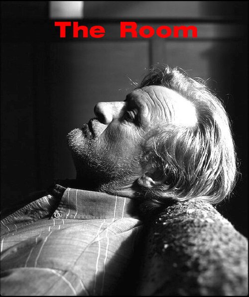 Обложка (Постер) Комната / The Room (2000) 