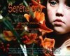 Обложка (Постер) Serendipity (1992) Обложка (Постер) Serendipity (1992)