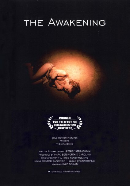 Обложка (Постер) The Awakening (1996) Обложка (Постер) The Awakening (1996)