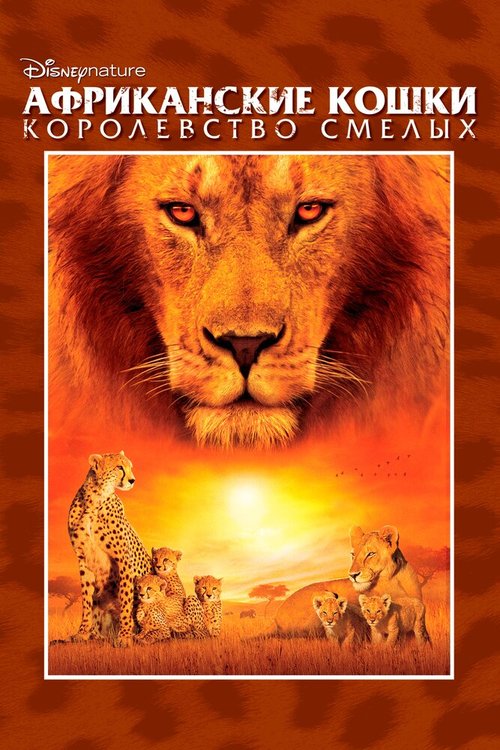 Обложка (Постер) Африканские кошки: Королевство смелых / African Cats (2011) HDRip Обложка (Постер) Африканские кошки: Королевство смелых / African Cats (2011) HDRip