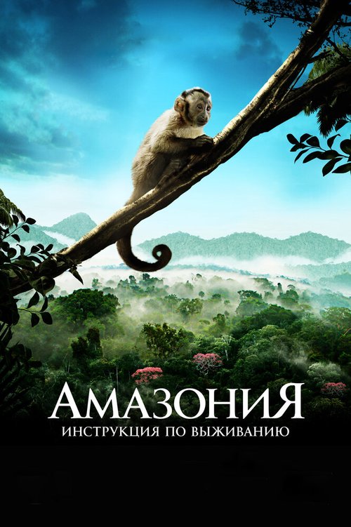 Обложка (Постер) Амазония: Инструкция по выживанию / Amazonia (2013) HDRip