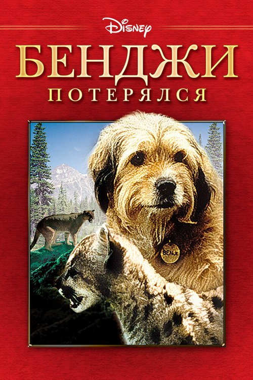 Обложка (Постер) Бенджи потерялся / Benji the Hunted (1987) SATRip Обложка (Постер) Бенджи потерялся / Benji the Hunted (1987) SATRip