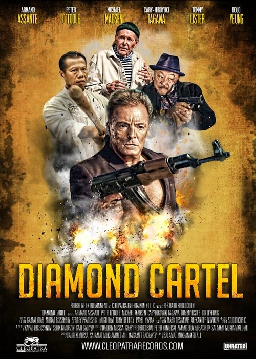 Обложка (Постер) Бриллиантовый картель / Diamond Cartel (2016) CAMRip Обложка (Постер) Бриллиантовый картель / Diamond Cartel (2016) CAMRip